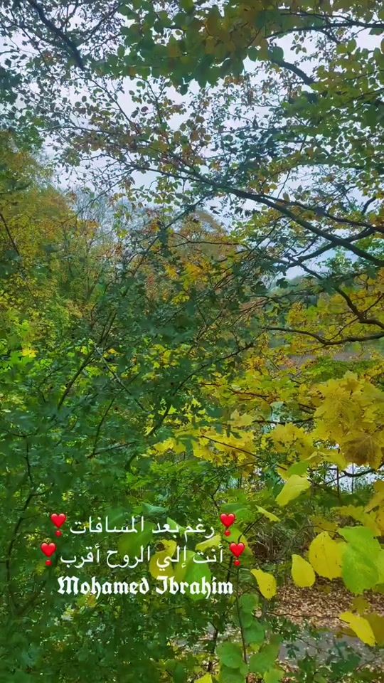 TikTok video thumbnail by moh_news