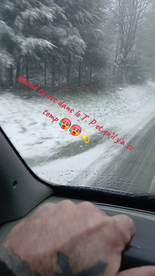 TikTok video thumbnail by 1995ptilou