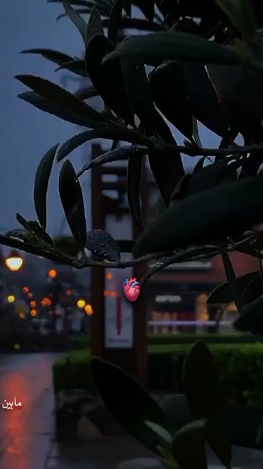 TikTok video thumbnail by maheen.mughal30