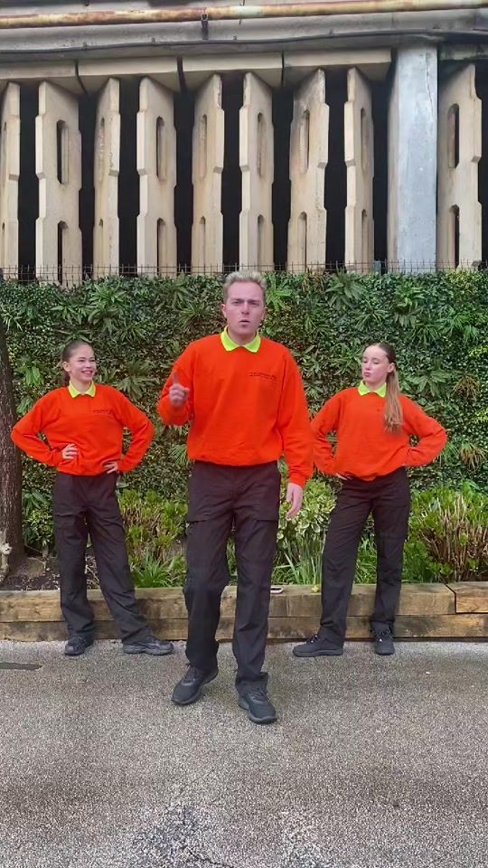 TikTok video thumbnail by pleasure_beach