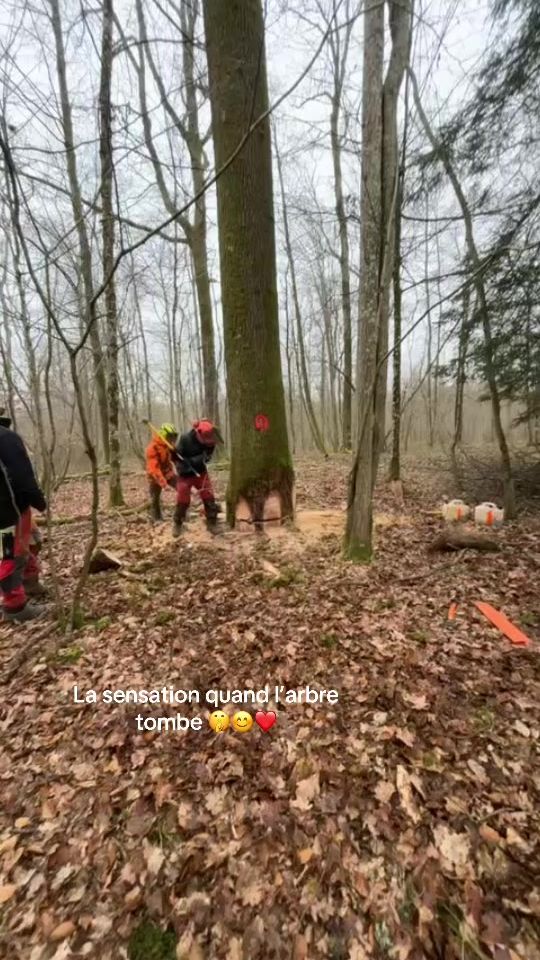 TikTok video thumbnail by matheo.cadet