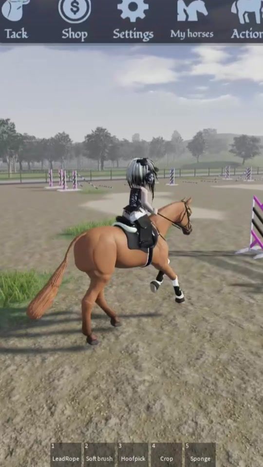 TikTok video thumbnail by equistride_