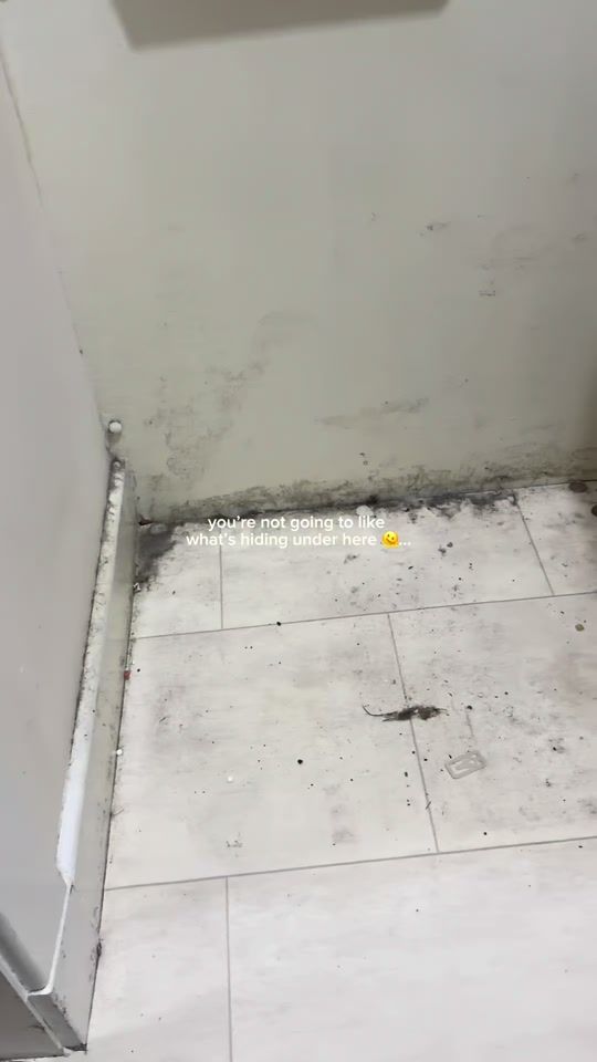 TikTok video thumbnail by cleanwith_kayleigh