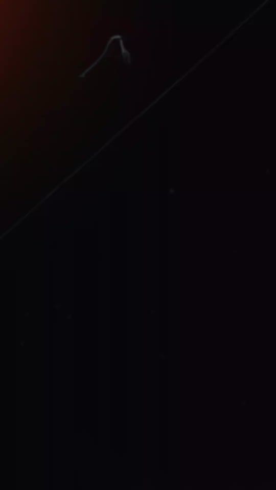 TikTok video thumbnail by malinedstrom