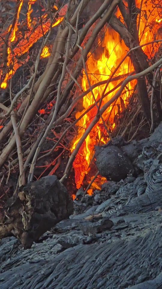 TikTok video thumbnail by colas432