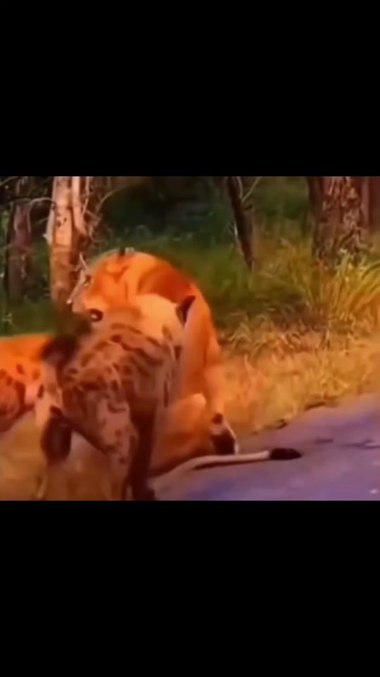 TikTok video thumbnail by bakkaro76