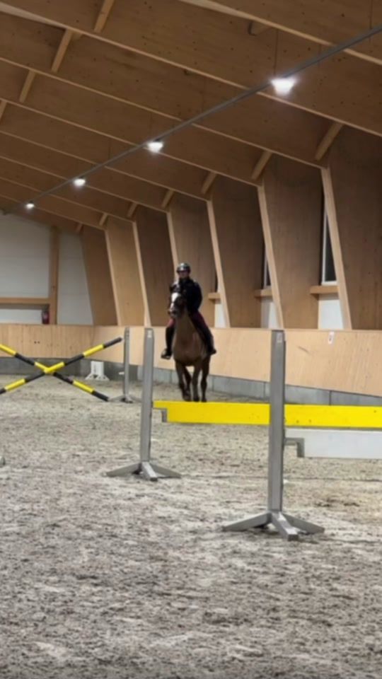 TikTok video thumbnail by esab.showjumping