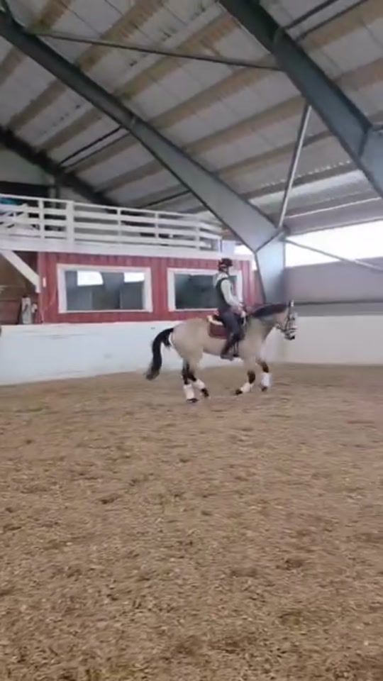 TikTok video thumbnail by equ..olivia