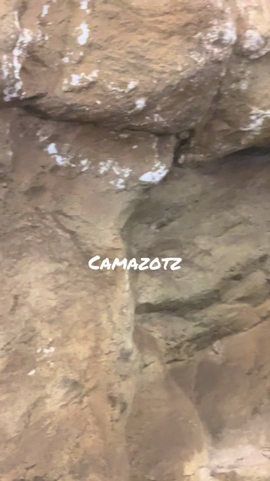 TikTok video thumbnail by desire.speranza