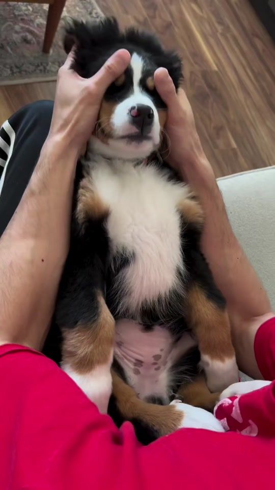 TikTok video thumbnail by ko0ozak