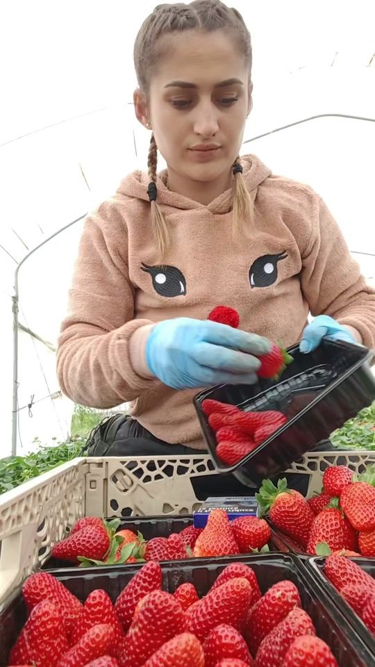 TikTok video thumbnail by geo.geo26mh