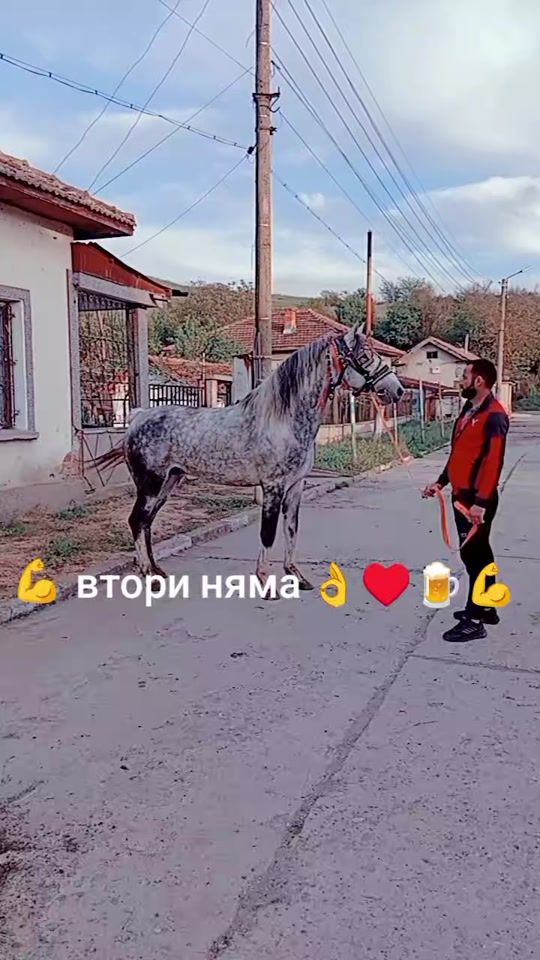 TikTok video thumbnail by .1231838