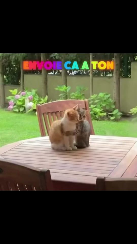 TikTok video thumbnail by lakaka.land