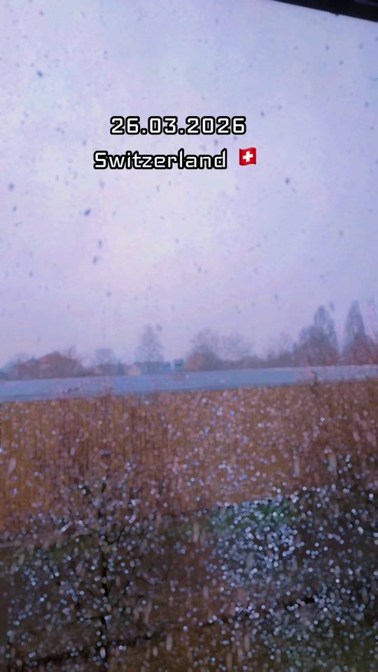 TikTok video thumbnail by luckyswiss