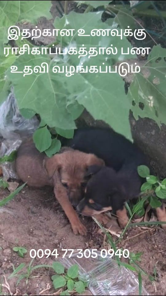 TikTok video thumbnail by raseetextile
