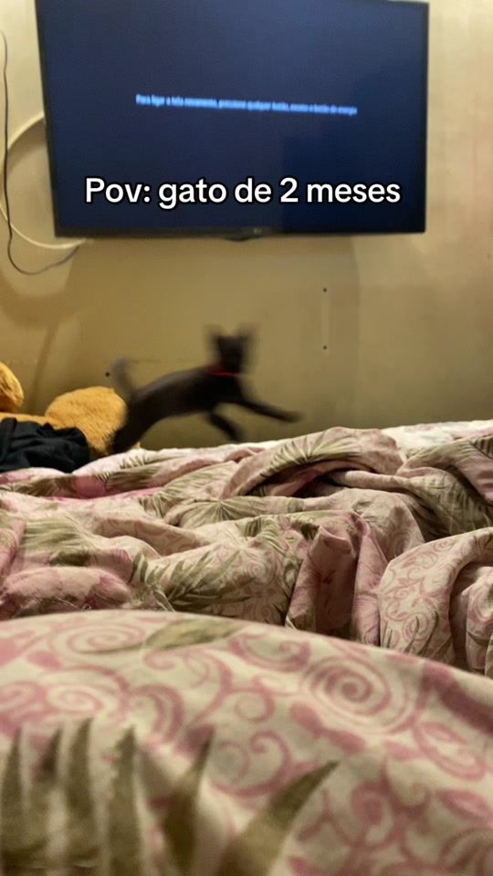 TikTok video thumbnail by .kassia.m
