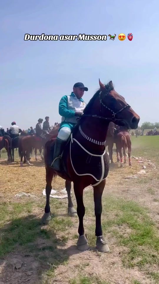 TikTok video thumbnail by mustafo_horses
