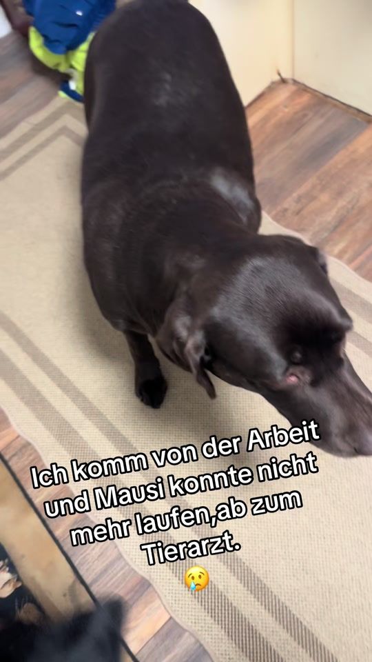 TikTok video thumbnail by pummi07