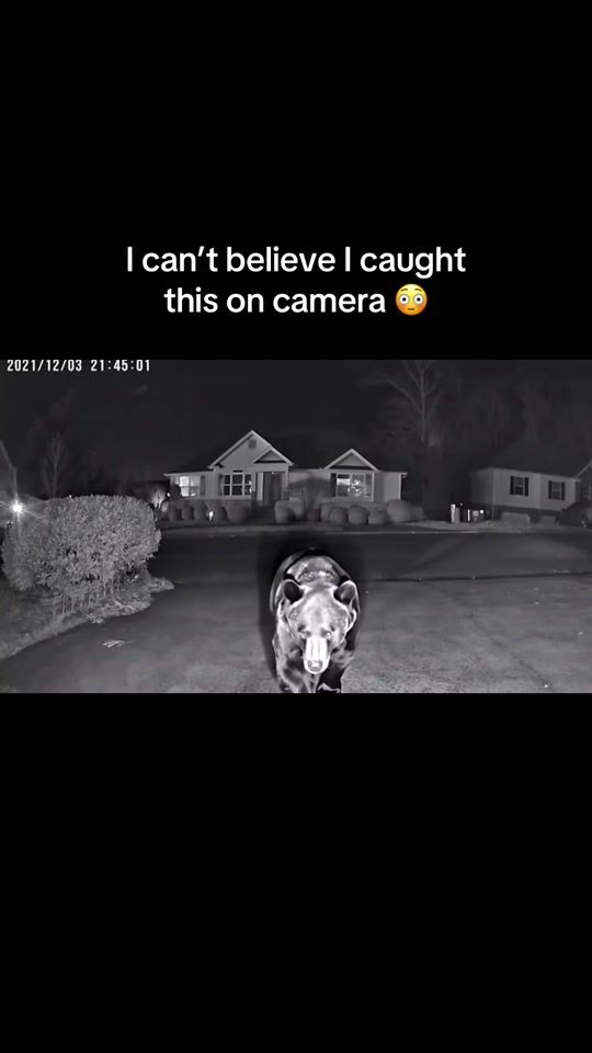 TikTok video thumbnail by onlyxgrooves