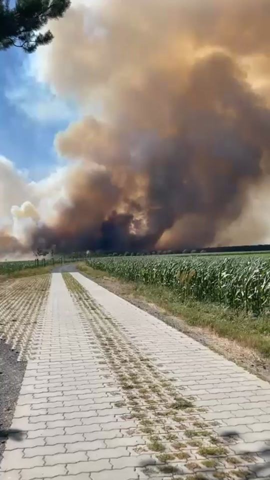 TikTok video thumbnail by _feuerwehr_lichtensee