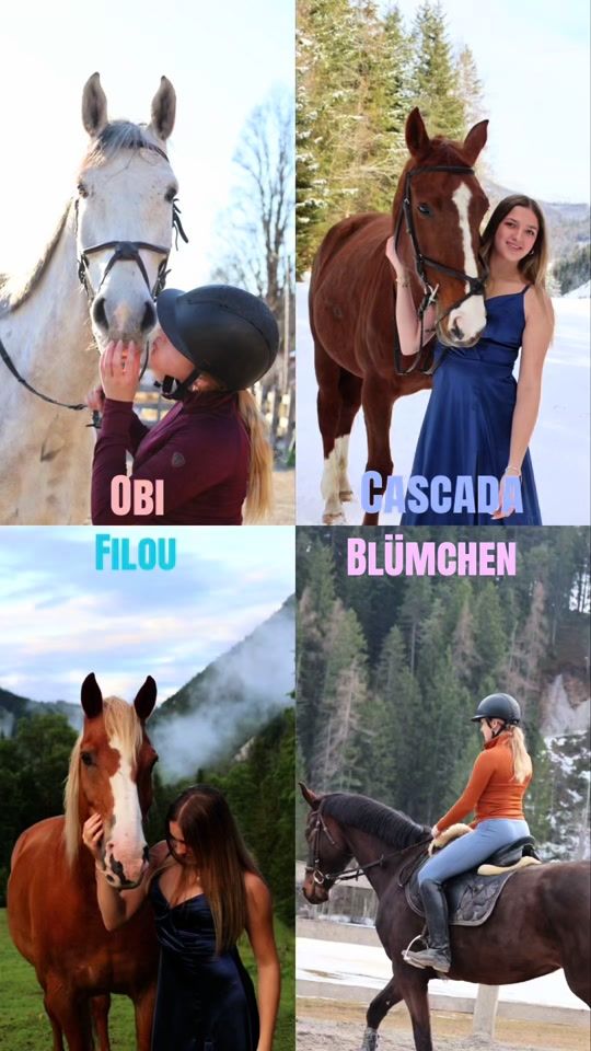 TikTok video thumbnail by hearthorse.cascada