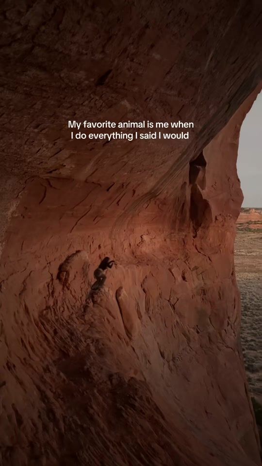 TikTok video thumbnail by wanderlust_network