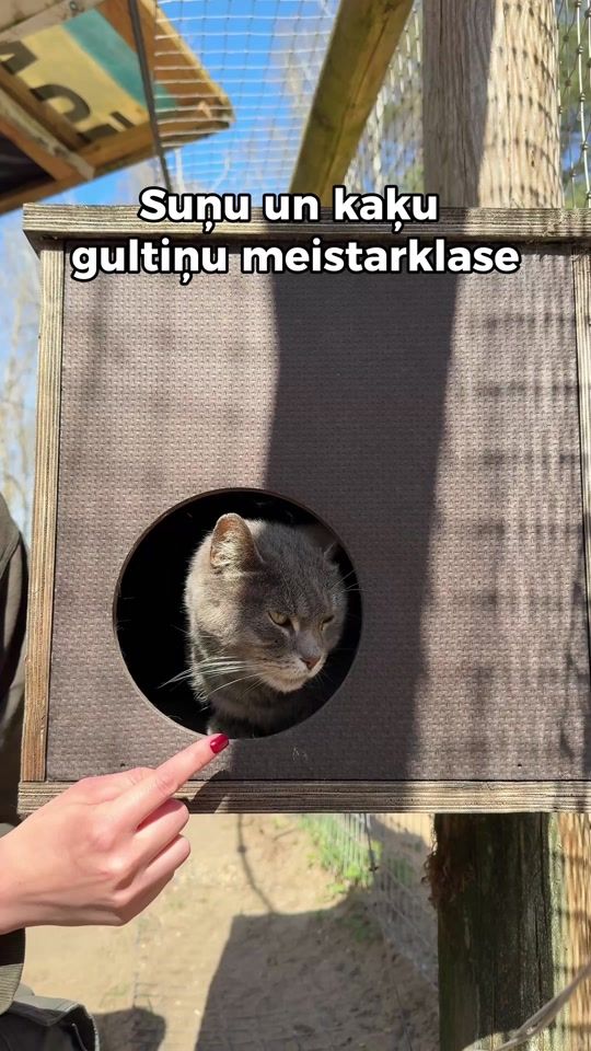 TikTok video thumbnail by ecobaltiavide