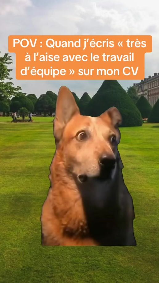 TikTok video thumbnail by proman_interim