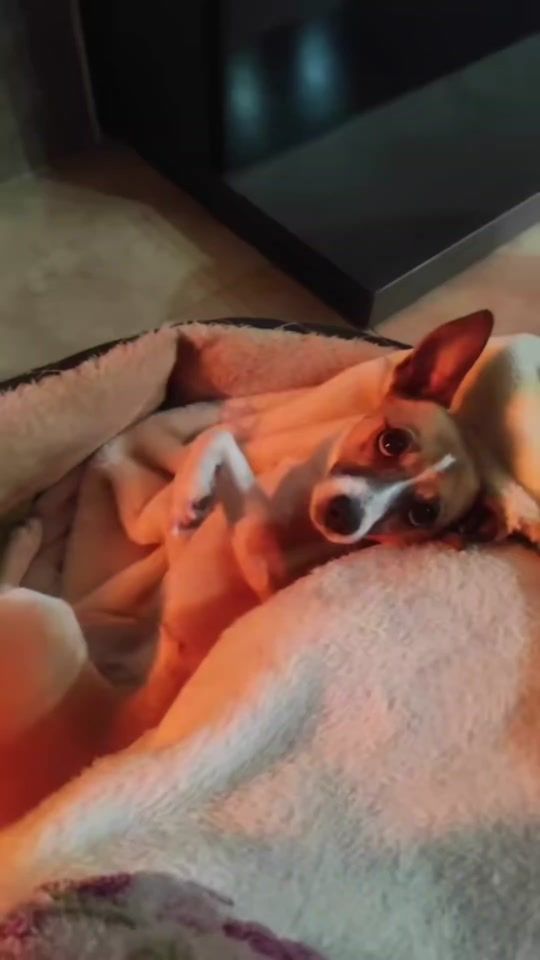 TikTok video thumbnail by monicqr