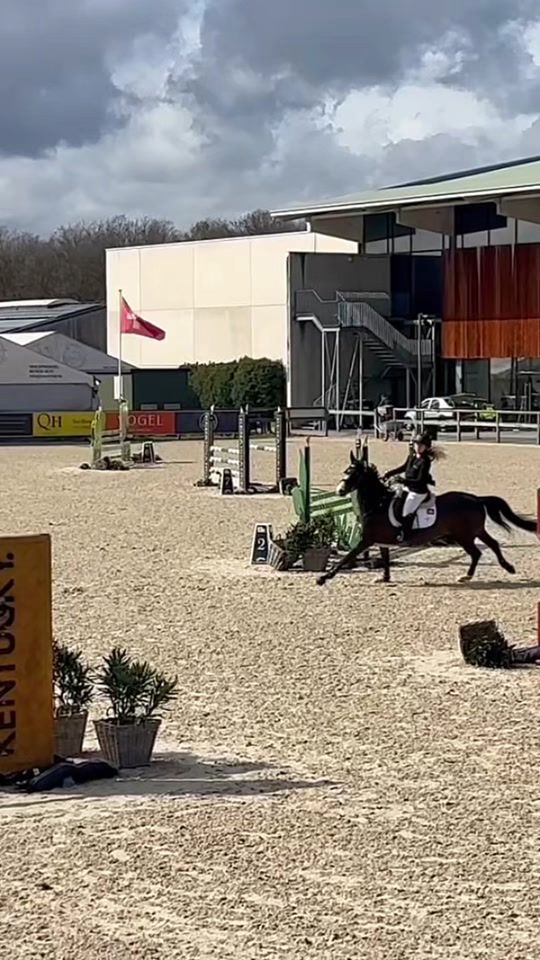 TikTok video thumbnail by lv.showjumping