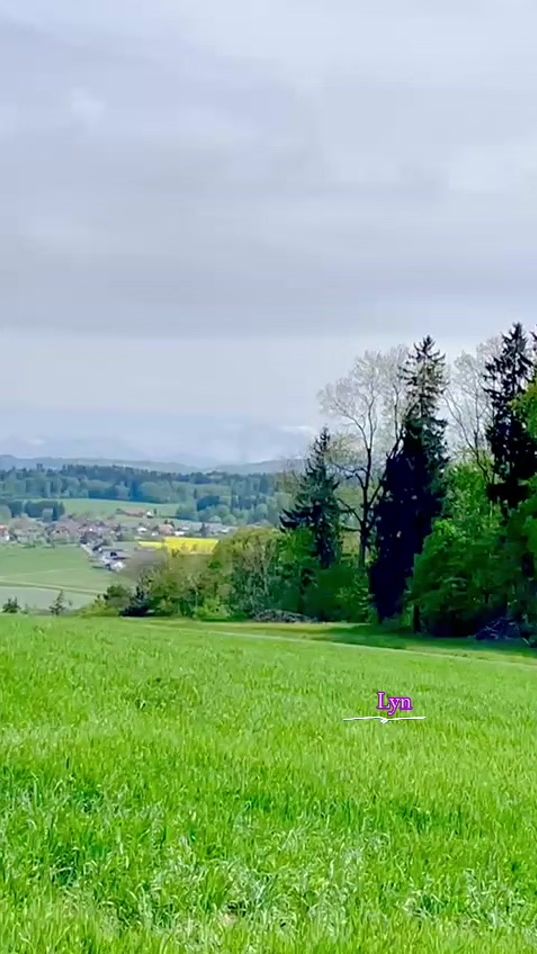 TikTok video thumbnail by lyn_726.user