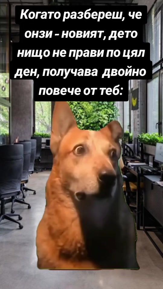 TikTok video thumbnail by irena_atanasova