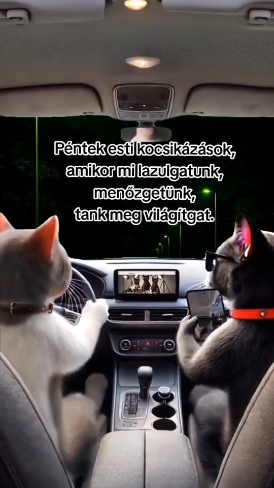 TikTok video thumbnail by blbmemek