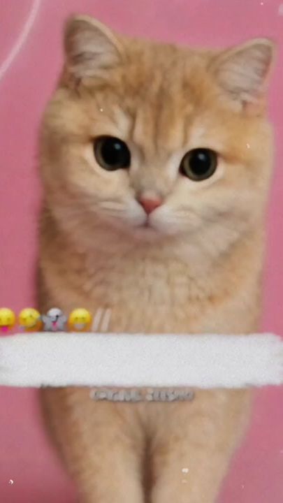 TikTok video thumbnail by original_zeesho