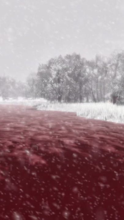 TikTok video thumbnail by blo0dful