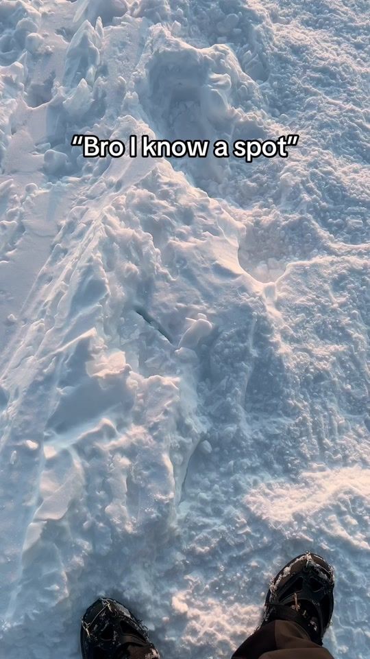 TikTok video thumbnail by apavlik951