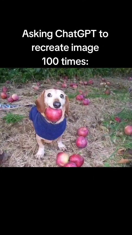 TikTok video thumbnail by wizawoza