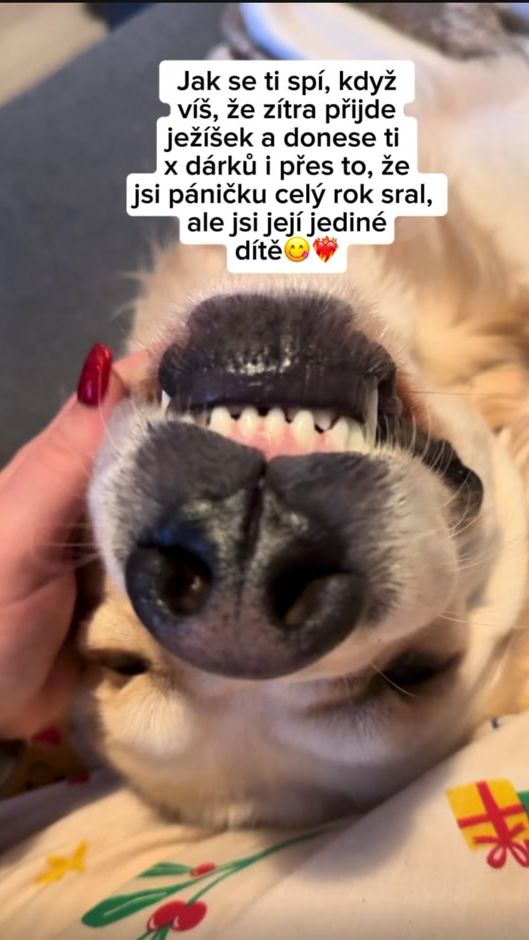 TikTok video thumbnail by zivotsdantem