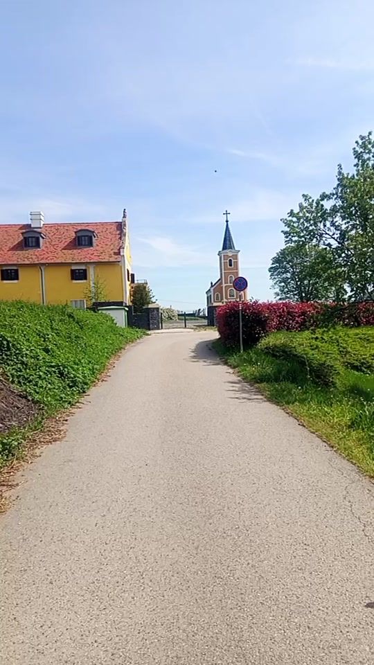 TikTok video thumbnail by moni881225