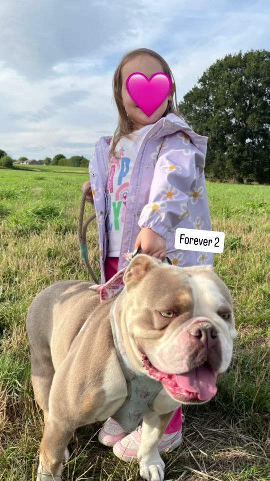 TikTok video thumbnail by jessieb414