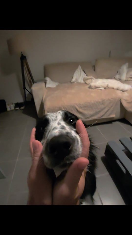 TikTok video thumbnail by uko.loutre