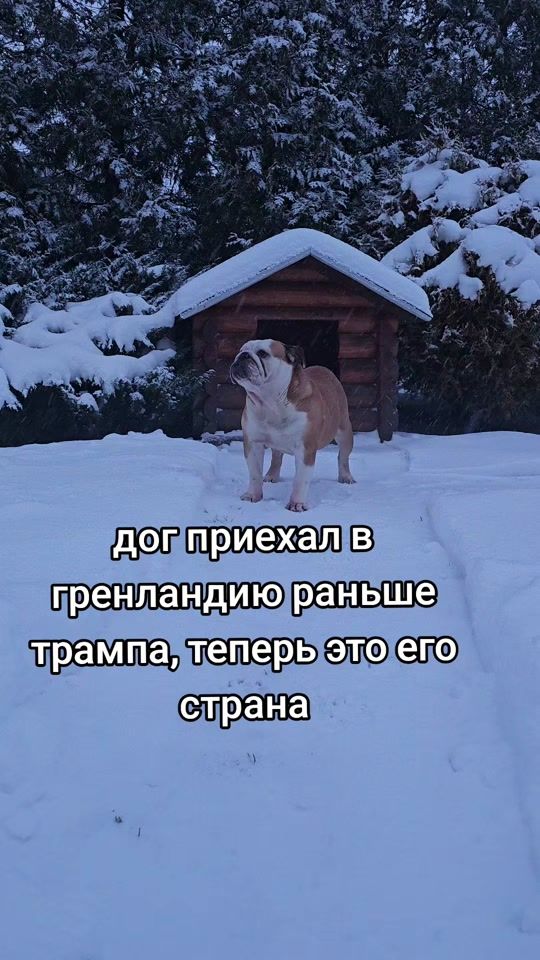 TikTok video thumbnail by rolty_dog