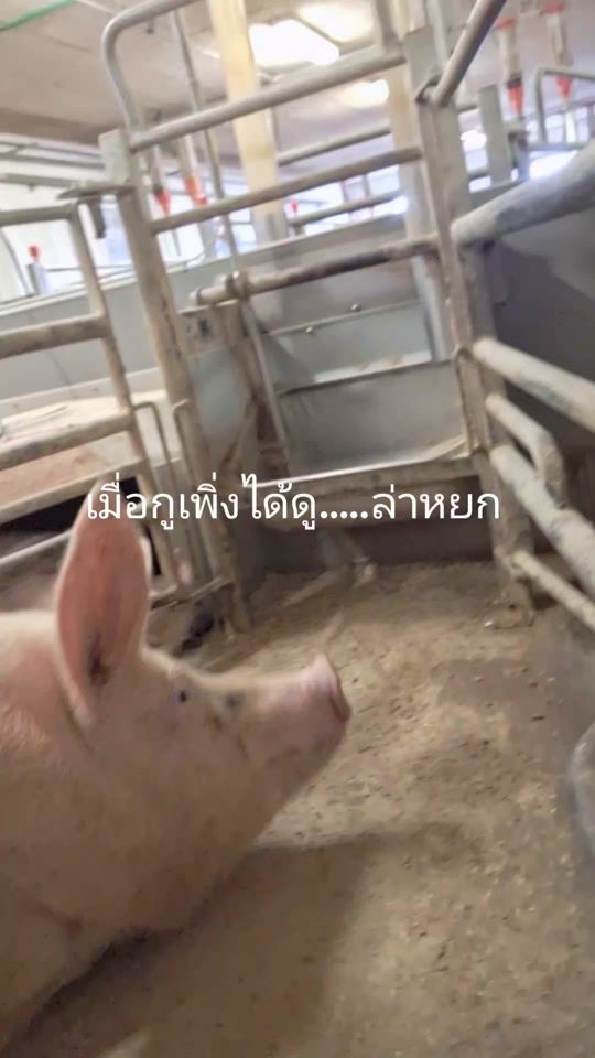 TikTok video thumbnail by yanananerga