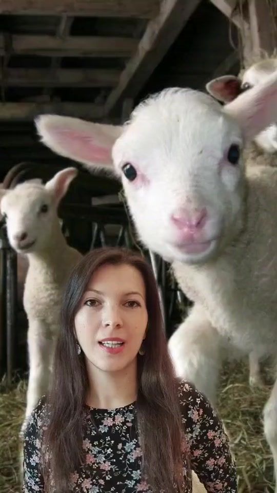 TikTok video thumbnail by catalinagrosu.ro