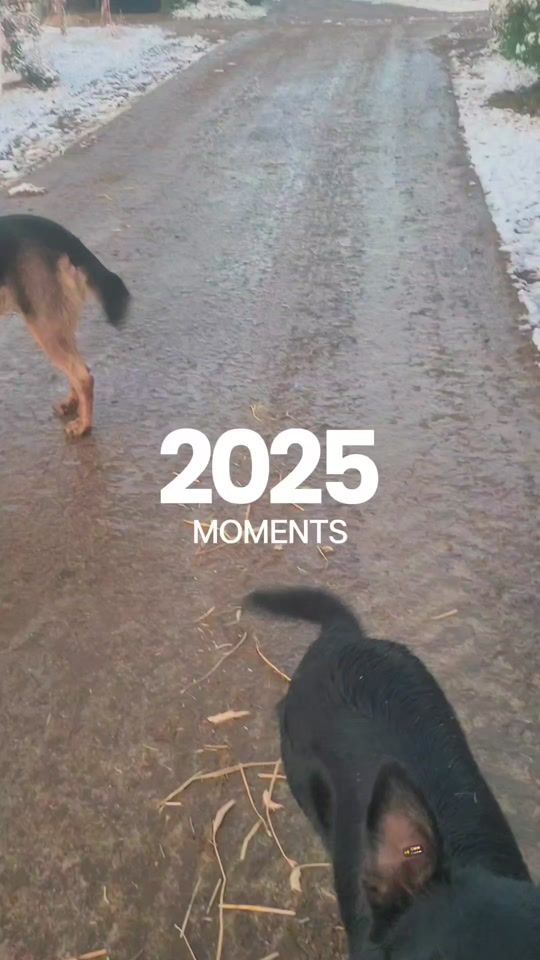 TikTok video thumbnail by damien_rouaux