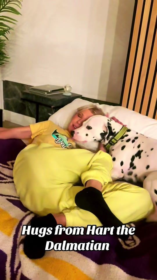 TikTok video thumbnail by thetarareid