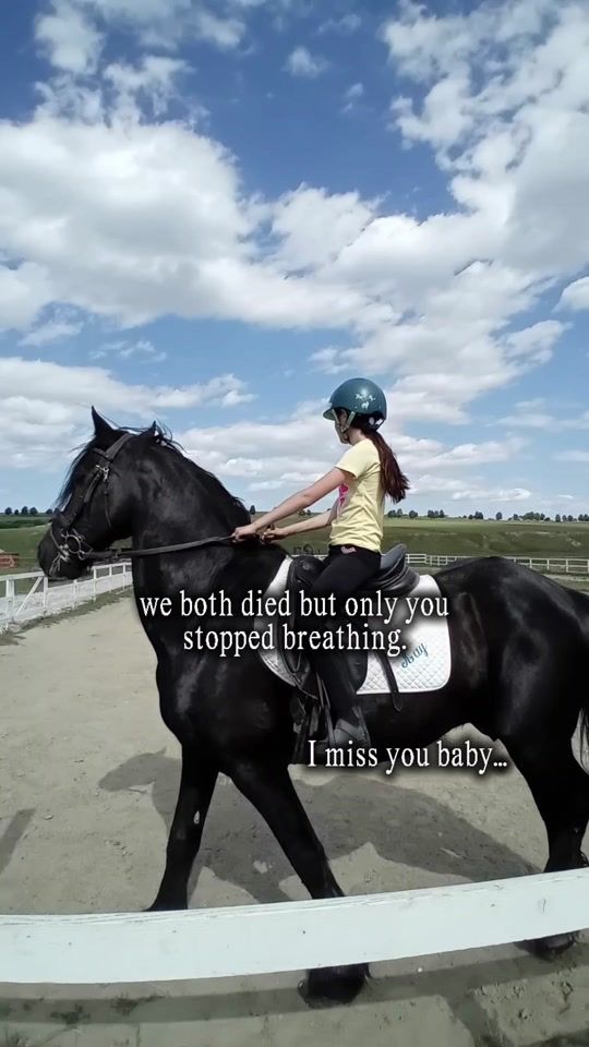 TikTok video thumbnail by mithnight.20131
