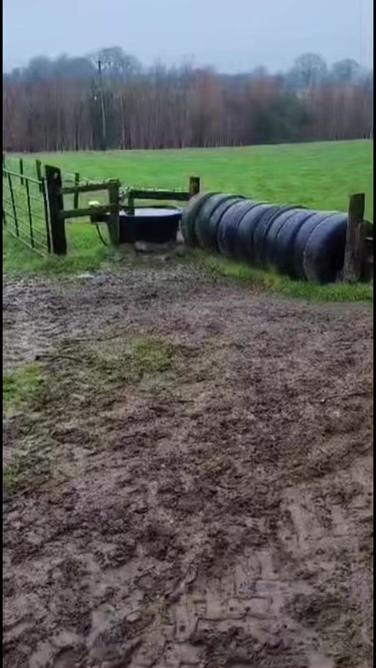 TikTok video thumbnail by robyn_o_reilly2