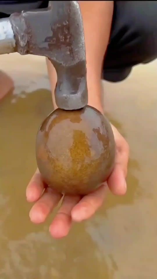 TikTok video thumbnail by s.d..yedountier