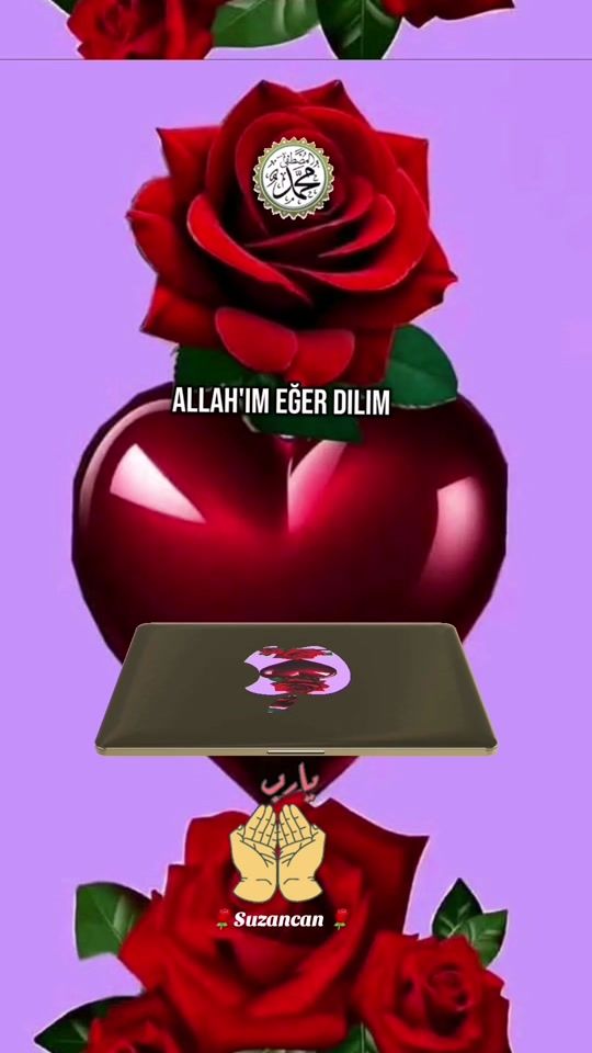TikTok video thumbnail by suzancan825